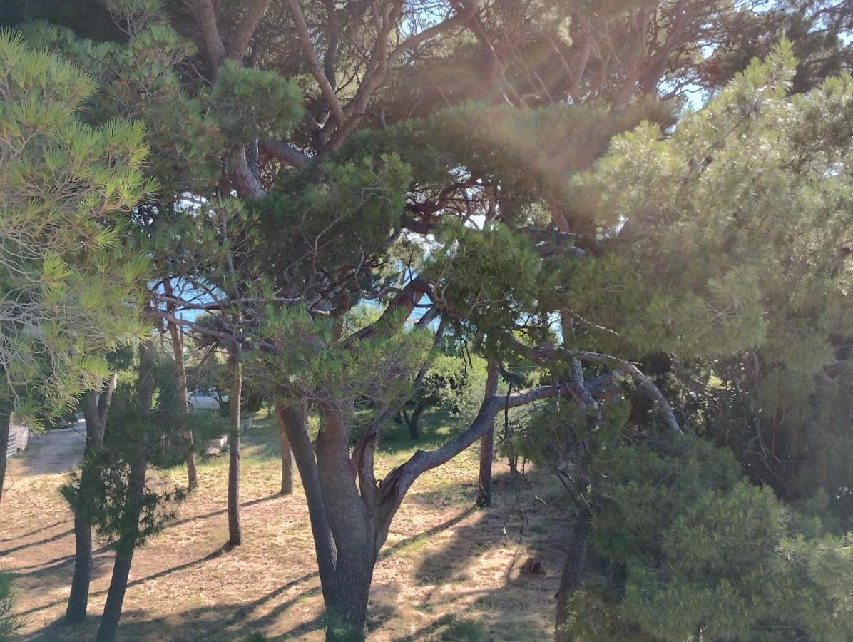 Old Captain'S Apartments - In A Pine Wood By The Sea And Tennis Courts Сплит Экстерьер фото